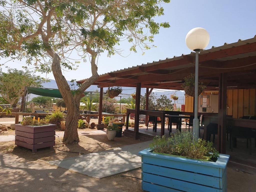 Elifaz Desert Experience Holiday Exterior foto