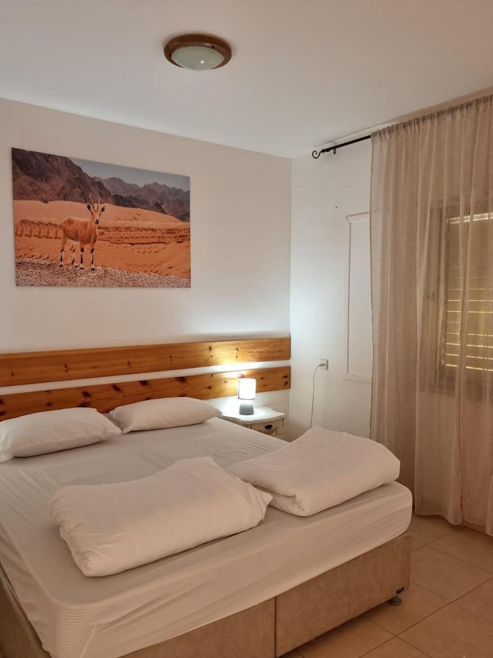 Elifaz Desert Experience Holiday Exterior foto